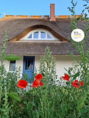 Reetsnacker - Ferienhaus mit Kamin, Sauna und Whirpool für 8 Personen, Am Salzhaff